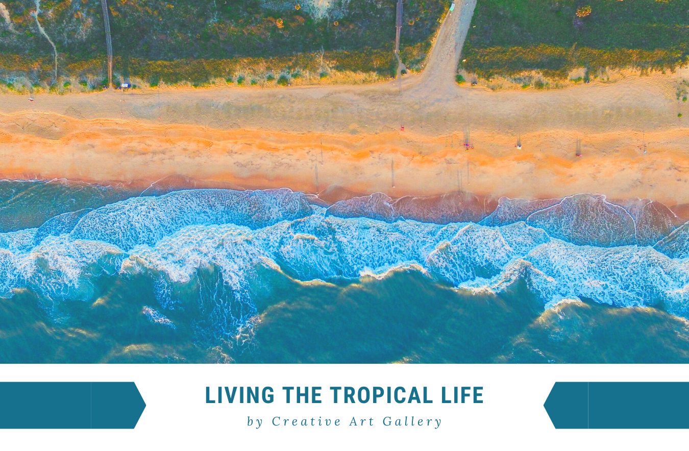 Welcome to the word of artistic brilliance!